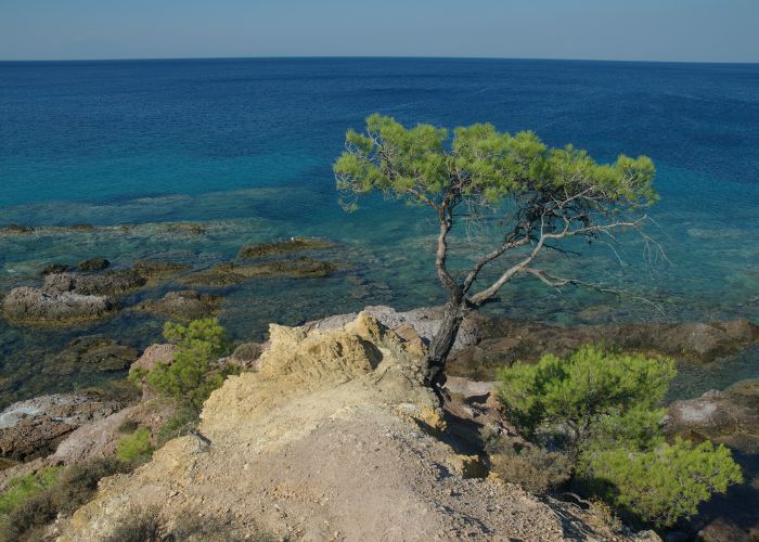 Accommodation in Prinos Thassos Greece